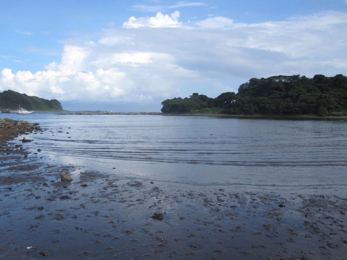 Ena Bay Tidal Flats