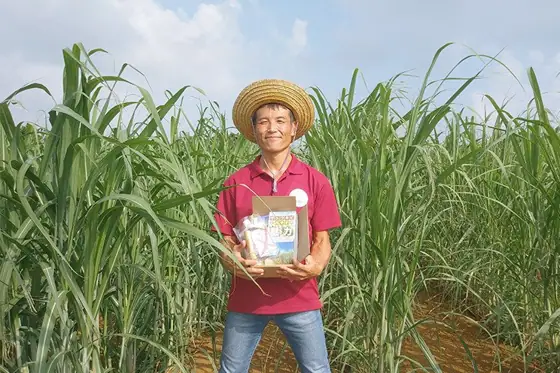 Alternative Farm Miyako