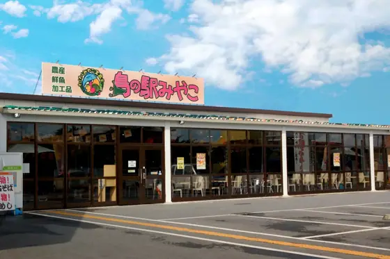 Island Station Miyako