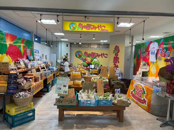 Shima no Eki Miyako Airport Store