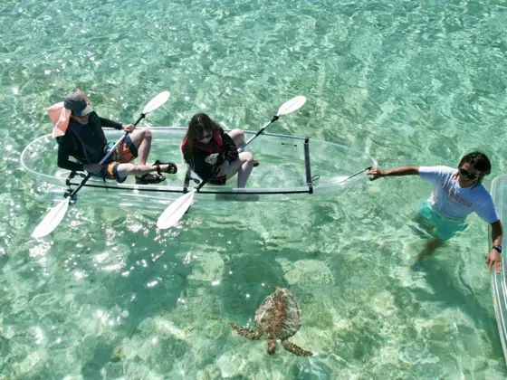 Clear Kayak Tour