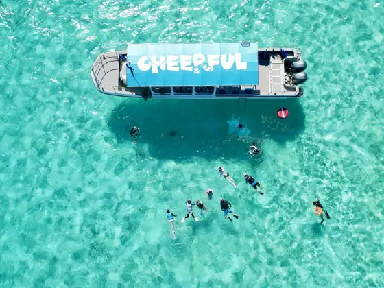 Yabiji Snorkeling Tour