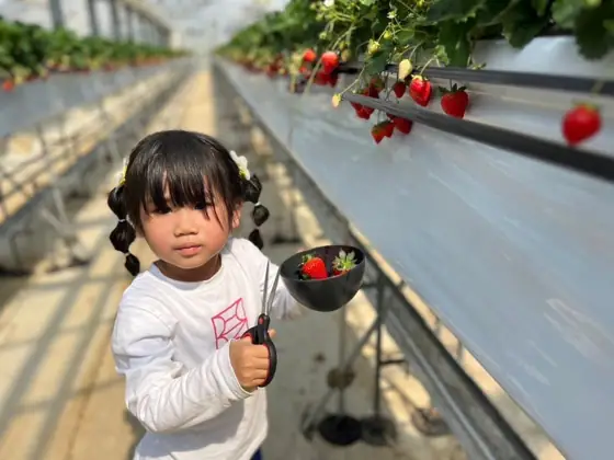 Amai no Daisuki Farm