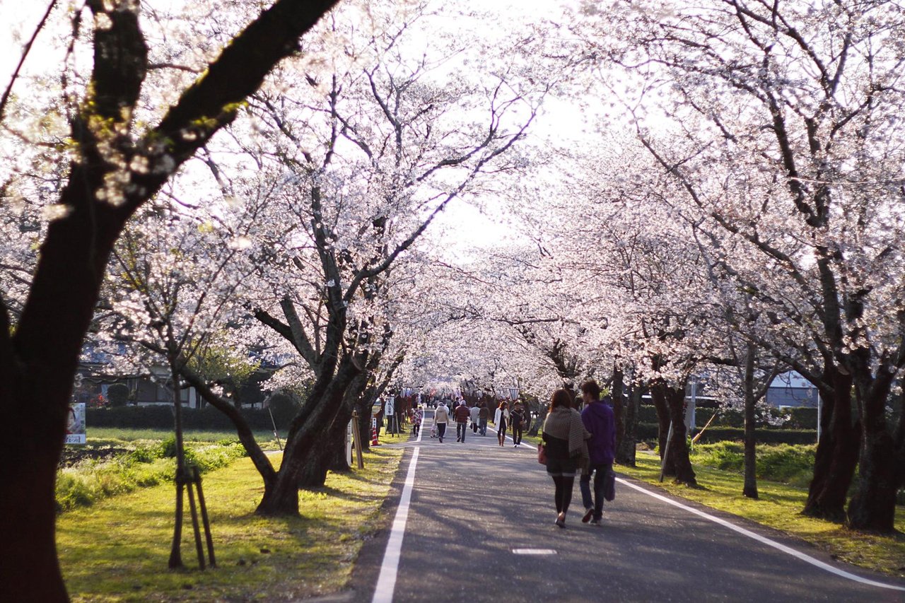 Mochio Park