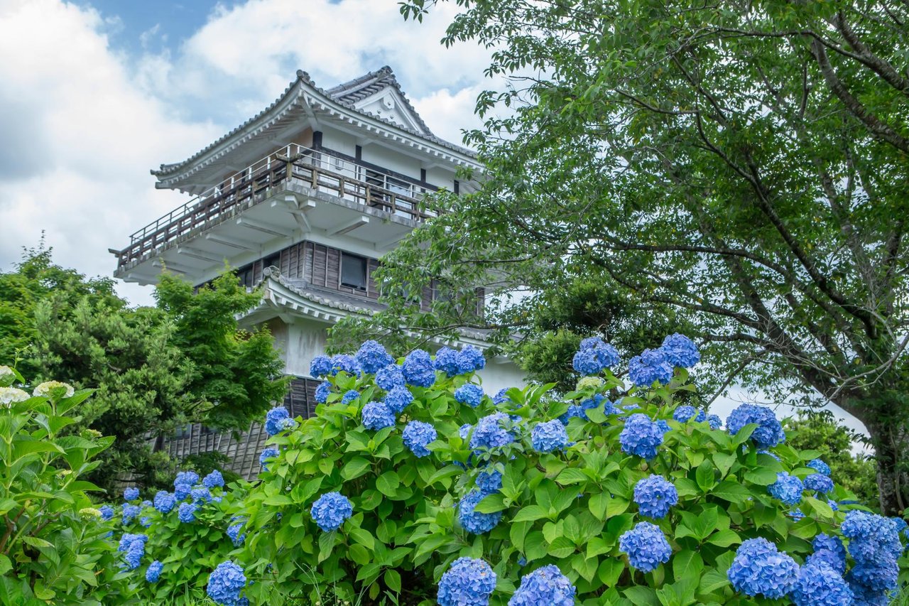 Hydrangea Park