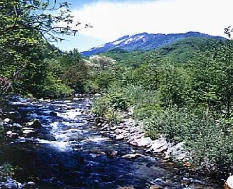Yakushi River Gorge