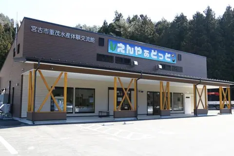 Omoe Fisheries Experience Center Enyaa Dotto