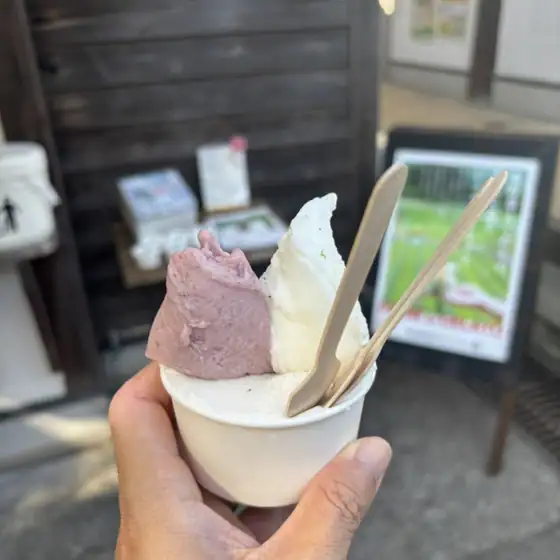 ALOCCA Hatake to, Gelato to,