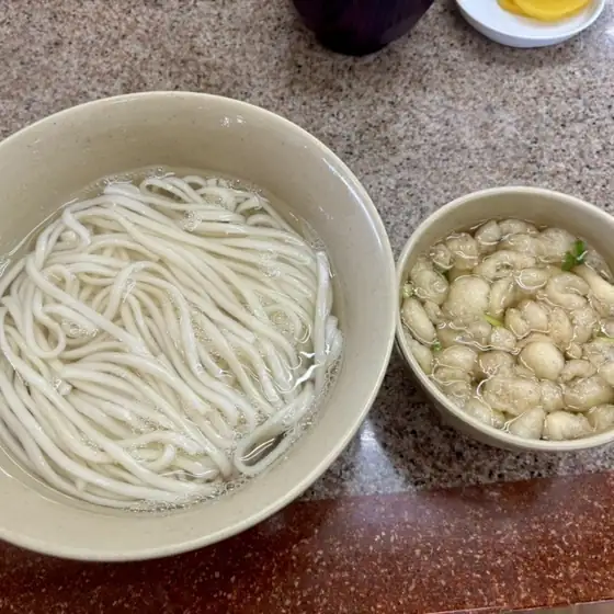 Tenryo Udon