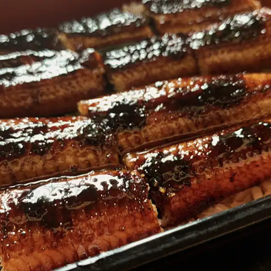 Unagi no Kawano