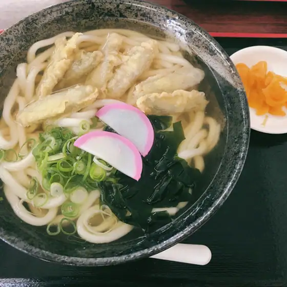 Nagano Udon