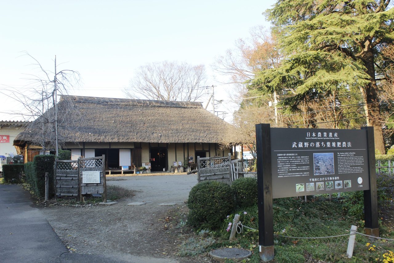 World Agricultural Heritage Musashino Fallen Leaf Compost Farming