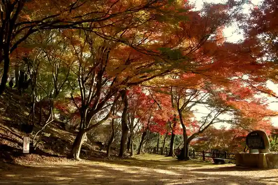 Ozekiyama Park