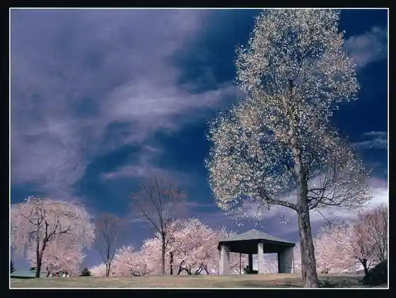 Yuki Mado Park