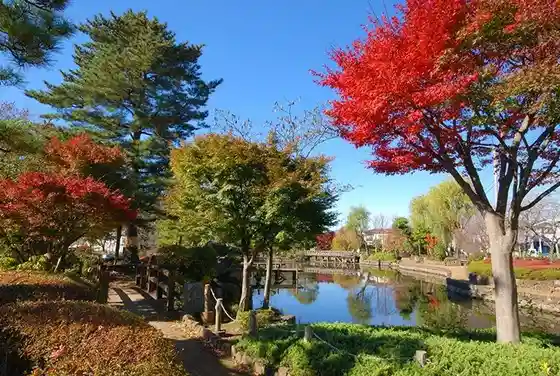 Sayama Ike Park