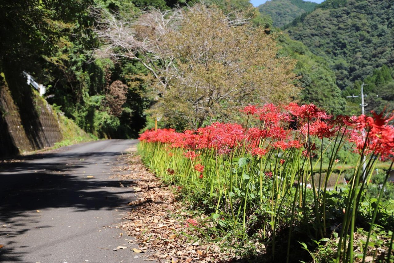 Kawauchi District, Mizukami Village