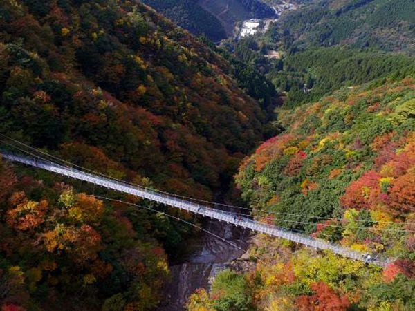 Shiramizu Falls Suspension Bridges (Hakuryuhi Bridge and Hakuryuo Bridge)