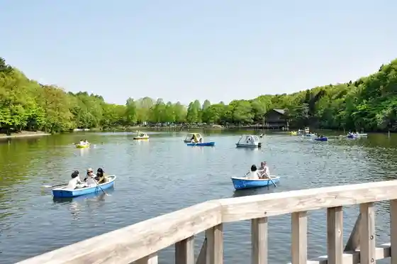 Igashira Park