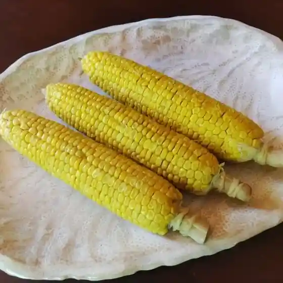 丹羽青果