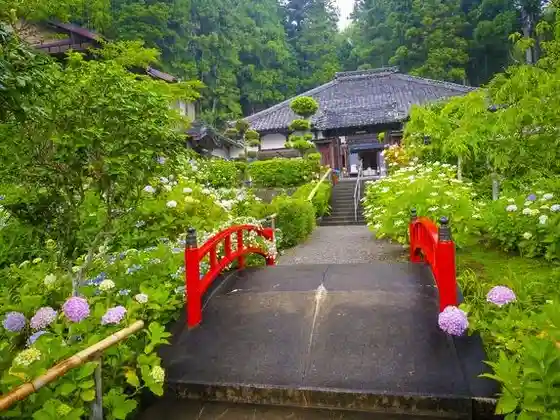 Gokuraku Temple (Ajisai Temple)