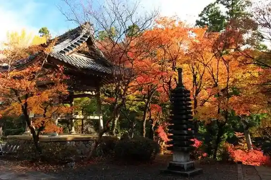 Ohora-in