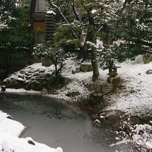 Raigo Tera