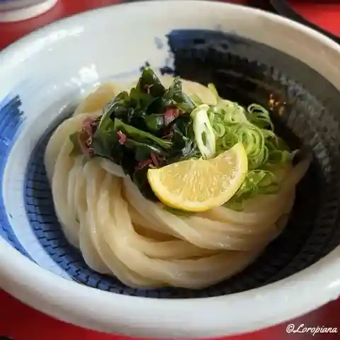 Udon Kobo Katatsumuri