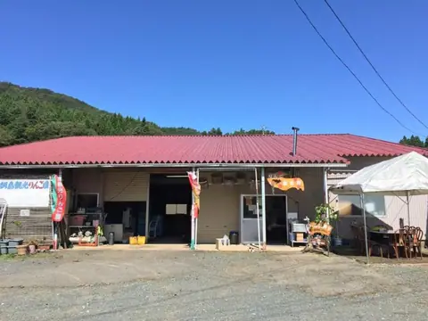 Asajima sightseeing apple orchard