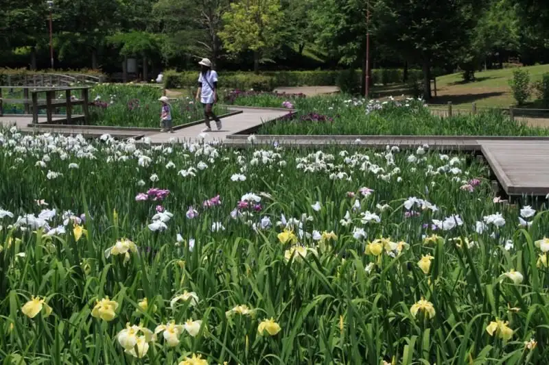 Shiki no Sato Park