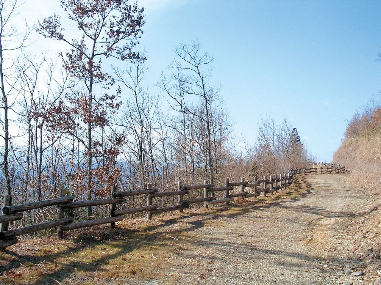 Ikenokubo Green Park Cross-Country Course