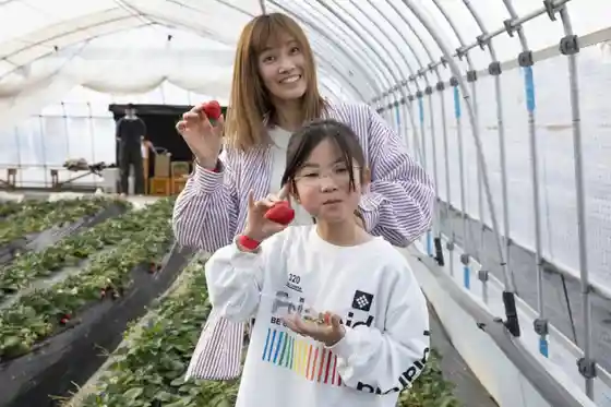 Midori Farm Tourist Strawberry Garden