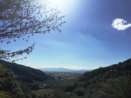 Monju no Mori Park