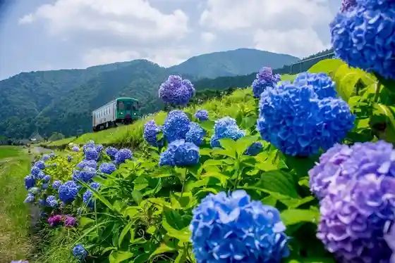 Tarumi Railway