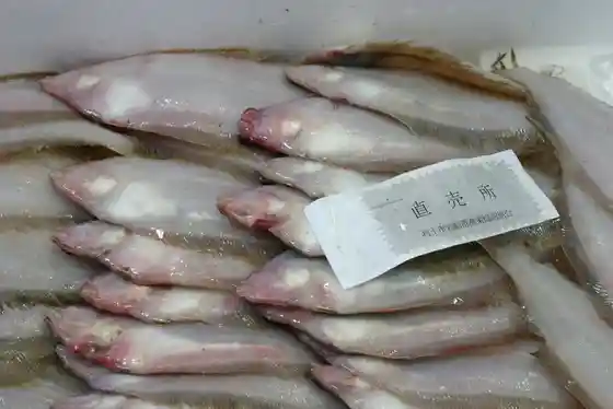 Yanagigarei