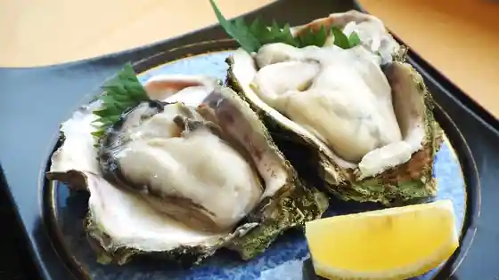 Sasagawa Nagare Iwafune no Tennen Iwa Gaki