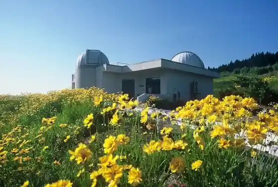 Porasuta Kambayashi