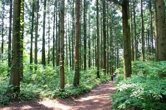 Taka Tsuboyama Taka Tsuboyama Tozanguchi