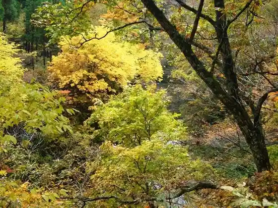 Yama Kumada Gorge