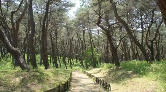O Maku Ba Forest Park