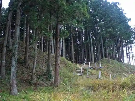 Hirabayashi Castle Ruins