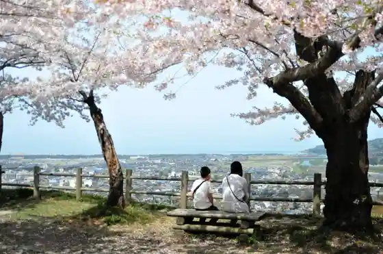 Murakami Castle Ruins