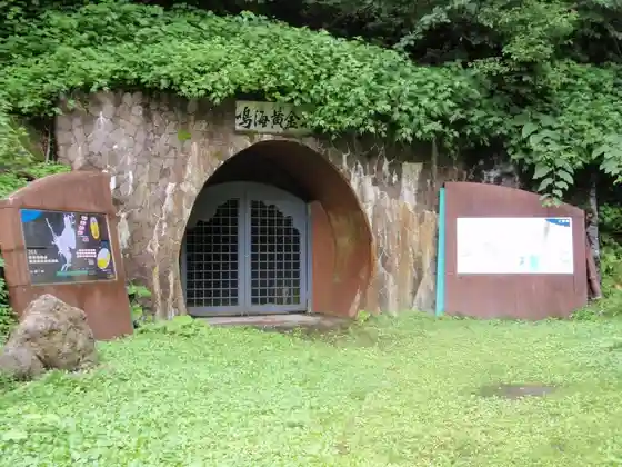 Gorudo Park Narumi (Narumi Kanayama)
