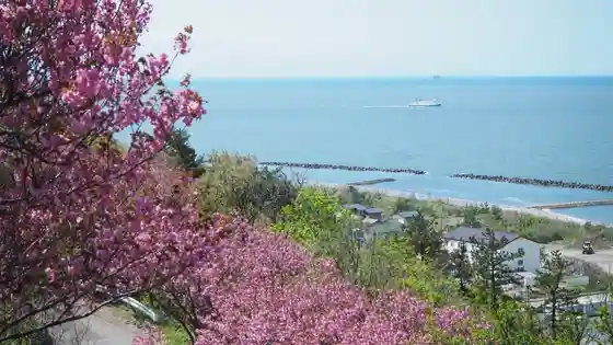 Morokami Tera Park