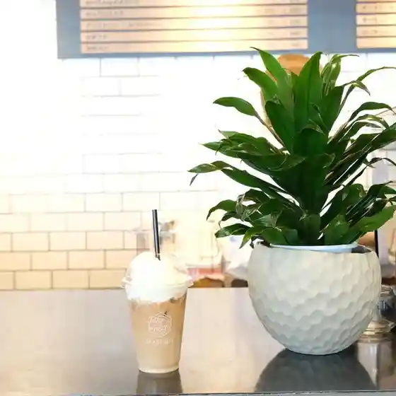 Tetsu no Machi Coffee