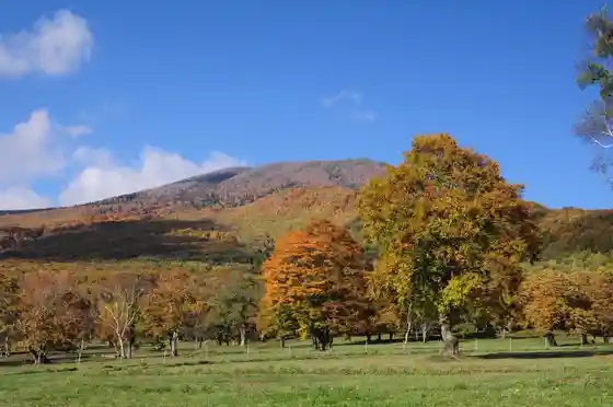 Sasagamine Highlands