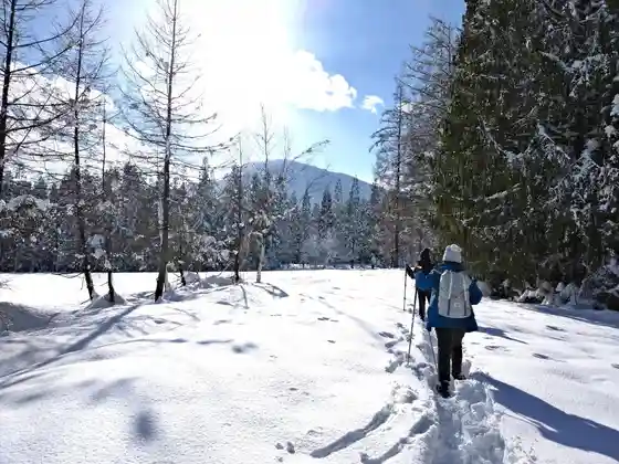 Myoko Highlands Su no Shu Tour