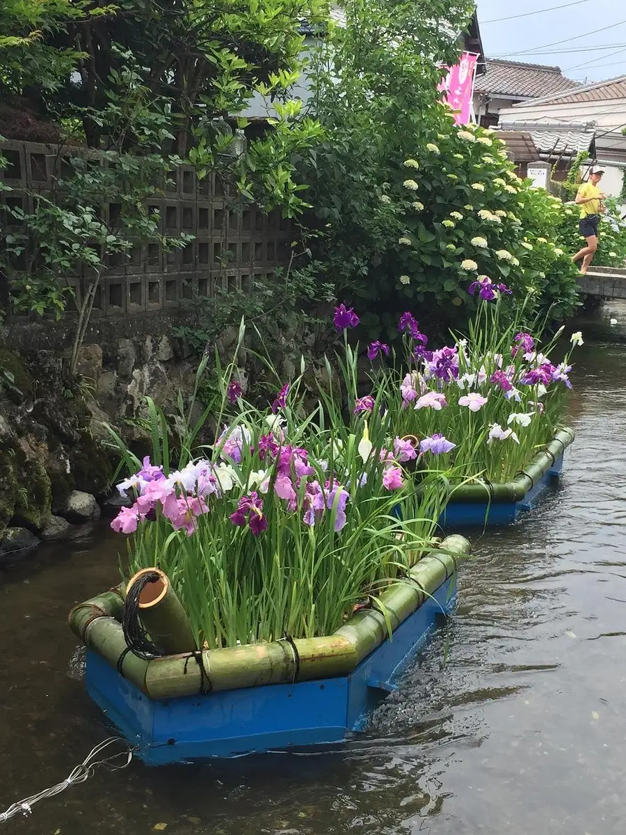 Joka Kawa Hanaikada