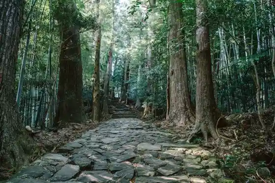 Kumano Kodo Daimon Saka