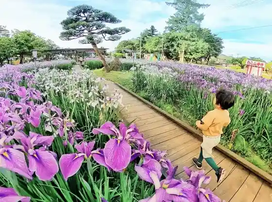 Nagai Ayame Koen