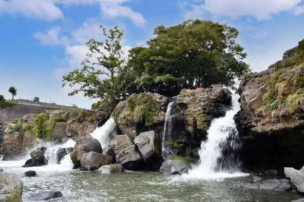 Nagaizumi Tourism and Exchange Association